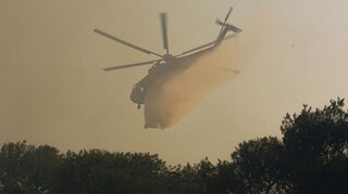 Πυρκαγιές: Μάχη με τις φλόγες σε Άνδρο και Έβρο - Αναζωπυρώσεις στην Πάρνηθα