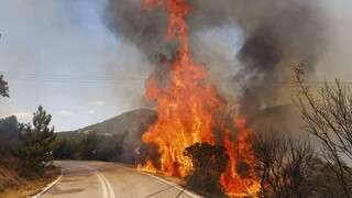 Πυρκαγιές: Νέα μηνύματα από το 112 σε Έβρο και Ροδόπη για εκκενώσεις οικισμών