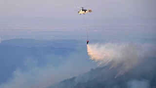 Κυβερνητικό κλιμάκιο στον Έβρο για την αποτίμηση των καταστροφών από τις πυρκαγιές