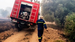 Aλεξανδρούπολη: Kάηκαν πάνω από 4.000 ζώα - Σε απόγνωση οι κτηνοτρόφοι