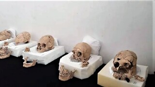 Παραμορφωμένα κρανία από αποκεφαλισμούς βρέθηκαν σε πυραμίδα των Μάγια