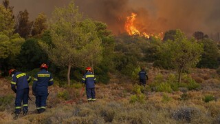 Μαίνεται η φωτιά στον Έβρο - Μάχη με τις αναζωπυρώσεις στην Πάρνηθα