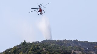 Κομισιόν: Πάνω από 350 πυροσβέστες, 50 οχήματα και 12 αεροσκάφη στο πλευρό της Ελλάδας