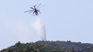 Για 11η μέρα μαίνεται η φωτιά στον Έβρο - Αναζωπυρώσεις σε Πάρνηθα και Ροδόπη