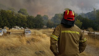 Φωτιά στον Έβρο: Μήνυμα 112 για εκκένωση της περιοχής Κοτρωνιά - Σε εξέλιξη το πύρινο μέτωπο