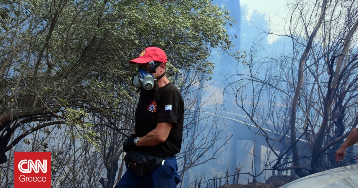 Υψηλός κίνδυνος πυρκαγιάς σήμερα σε Αργολίδα, Κορινθία και Λακωνία