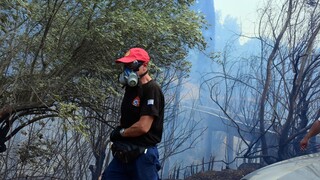 Υψηλός κίνδυνος πυρκαγιάς σήμερα σε Αργολίδα, Κορινθία και Λακωνία