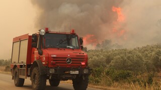 Φωτιά στον Έβρο: Για 13η μέρα καίει το πύρινο μέτωπο - 'Ετοιμο για εκκένωση το Σουφλί