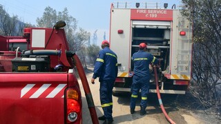 Φωτιά στην περιοχή Κορώνα Κιλκίς - Επιχειρούν επίγειες και εναέριες δυνάμεις