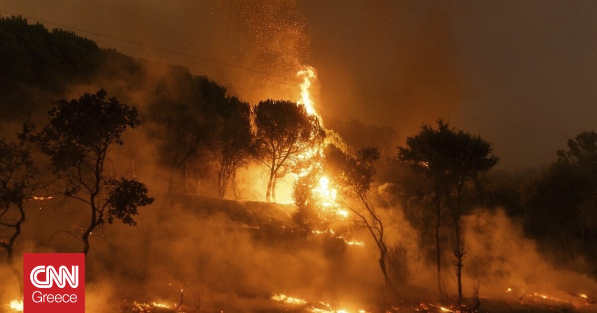 Φωτιά στον Έβρο: Στις φλόγες ο μικρός πυρήνας του δάσους της Δαδιάς – Σε απόσταση από οικισμούς