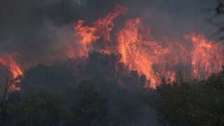 Φωτιά στον Έβρο: Bόρεια του Σουφλίου επικεντρώνονται οι προσπάθειες κατάσβεσης