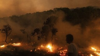 BBC: Οι πυρκαγιές στην Ελλάδα ένα από τα έξι ακραία καιρικά φαινόμενα του καλοκαιριού