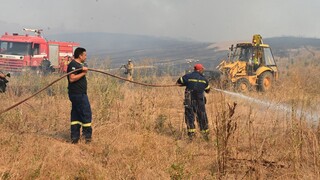 Φωτιά σε δασική έκταση στη Σταμάτα: Μήνυμα από το 112 - «Παραμείνετε σε ετοιμότητα»