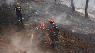 Κοντά σε οικισμό η φωτιά στη Σταμάτα: Μάχη για να μην απειλήσει τα σπίτια
