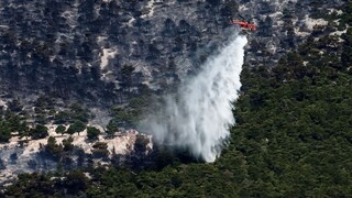 Πυρκαγιές: 1,7 δισ. ευρώ το κόστος στην Ελλάδα -  4,1 δισ. ευρώ στην Ευρώπη