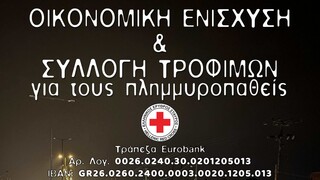 Ελληνικός Ερυθρός Σταυρός: Συγκέντρωση χρημάτων και τροφίμων για τους πλημμυροπαθείς