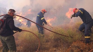 Πυρκαγιές: Μέτρα στήριξης για πολίτες και επιχειρήσεις σε επτά πληγείσες περιοχές