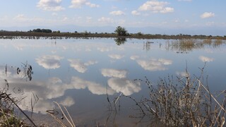 Πλημμύρες: Μέχρι πότε υποβάλλονται οι δηλώσεις ΟΣΔΕ 2023