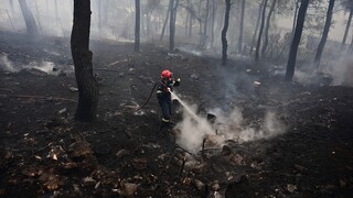 Φωτιά σε δασική περιοχή στο Μοναστηράκι Αιτωλοακαρνανίας