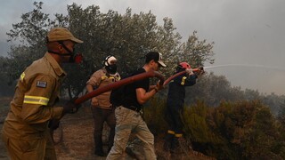 Συνέδριο Εconomist: 4.200 οι εθελοντές πυροσβέστες στην Ελλάδα - Πρόληψη το «κλειδί»