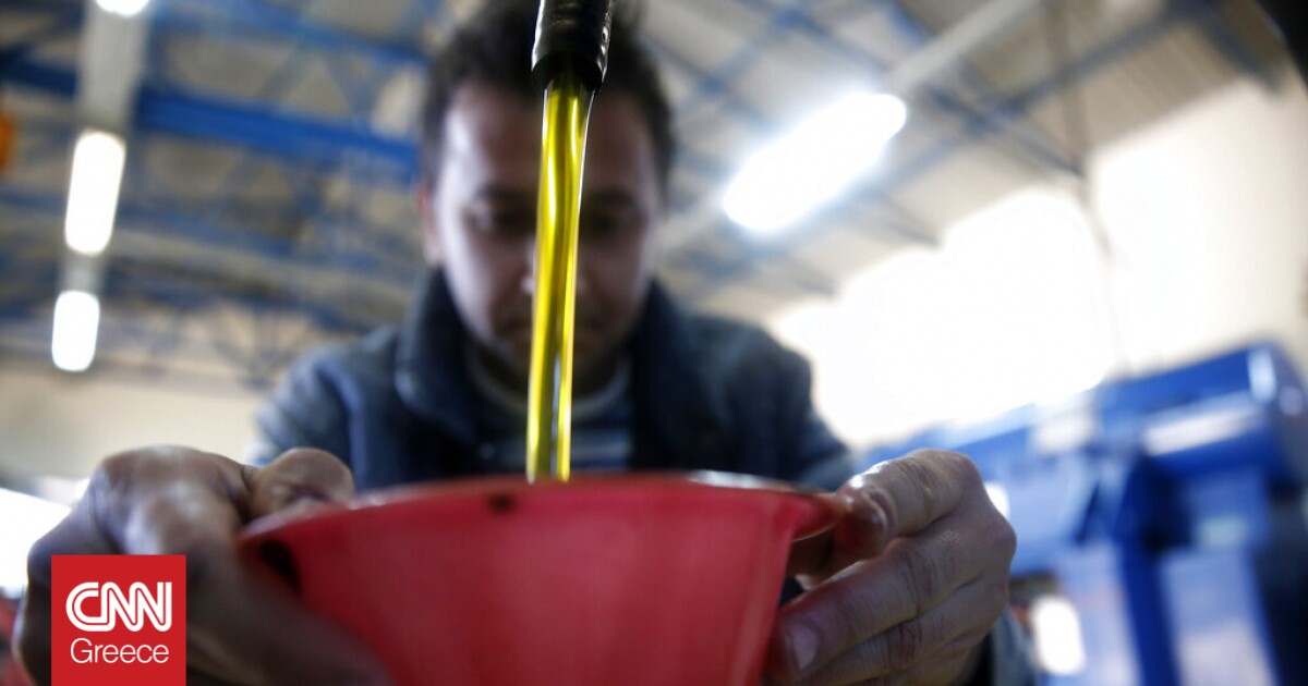 What’s happening to the price of olive oil: Messinia producers and operators explain to CNN Greece