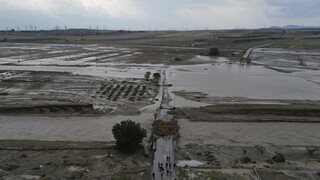 AP: Ζημιά δισεκατομμυρίων στα τρόφιμα από τις πλημμύρες στη Θεσσαλία