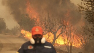 Έβρος: 20 νεκροί, 962.000 στρέμματα καμένης γης κι ένας Εθνικός Δρυμός που «έσβησε» για 150 χρόνια