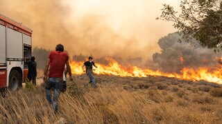 Το πύρινο καλοκαίρι της Αττικής: Φλόγες από το Λαγονήσι και τη Μάνδρα μέχρι την Πάρνηθα