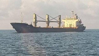 Στην Κωνσταντινούπολη το δεύτερο φορτηγό πλοίο που μεταφέρει ουκρανικό σιτάρι