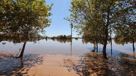 Πλημμύρες στη Θεσσαλία: Οι αιτίες της καταστροφής - Τι προτείνουν οι επιστήμονες για το «restart»