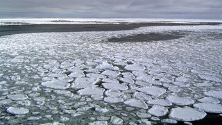 Λιώσιμο πάγων στην Ανταρκτική: Το 2023 χάθηκε έκταση διπλάσια της Γαλλίας