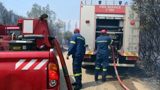 Φωτιά στην Ξάνθη: Καίει σε δασική περιοχή - Επι τόπου δυνάμεις της Πυροσβεστικής