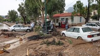 Κακοκαιρία Elias: Εικόνες βιβλικής καταστροφής στη Μαγνησία - Τόνοι λάσπης και ξηλωμένοι δρόμοι