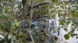 Πάτρα: Κλαδί δένδρου έπεσε στο κεφάλι γυναίκας