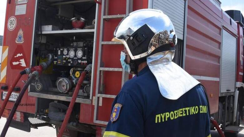 Θεσσαλονίκη: Υπό έλεγχο η πυρκαγιά σε Παγούρια και Δρανιά Ροδόπης