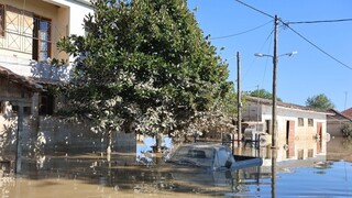 Πλημμύρες: 19 νέα κρούσματα λεπτοσπείρωσης στη Θεσσαλία την τελευταία εβδομάδα