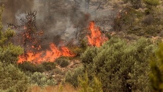 Κρήτη: Φωτιά στα Ανώγεια - 43 πυρκαγιές σε ένα 24ωρο