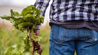 Απαλλαγμένοι από παρακρατήσεις οι «εργαζόμενοι συνταξιούχοι» του αγροτικού τομέα
