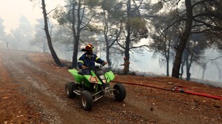 Η τεχνητή νοημοσύνη στη μάχη για τις δασικές πυρκαγιές: Ξεκίνησαν δοκιμές νέου συστήματος