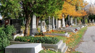 Βιέννη: Φωτιά και σβάστικες σε εβραϊκούς τάφους - Κρούσμα και σε Ρώμη, Παρίσι, Βερολίνο, Μόσχα