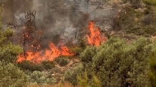 Ανεξέλεγκτη η φωτιά στην Εύβοια - Εκκενώθηκαν δύο χωριά