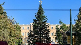 Σύνταγμα: Την Πέμπτη 23 Νοεμβρίου στις 18:00 ανάβει το χριστουγεννιάτικο δέντρο