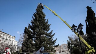 Σύνταγμα: Στις έξι το απόγευμα η φωταγώγηση του Χριστουγεννιάτικου δέντρου