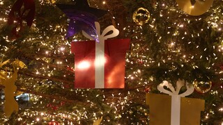 Σεπόλια: Έκλεψαν τα στολίδια από το Χριστουγεννιάτικο δέντρο