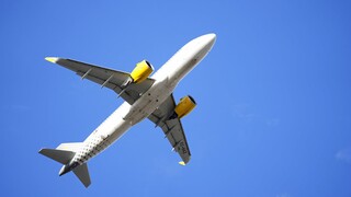 Ισπανία: «Λιχουδιές» σε κατοικίδια εν ώρα πτήσης από αεροπορική εταιρεία