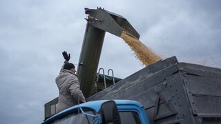 Κίεβο: Στους 59,7 εκατ. τόνους φτάνει φέτος η συγκομιδή σιτηρών - Απόδοση ρεκόρ   