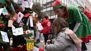 Ελληνικός Ερυθρός Σταυρός: Τα παιδιά στόλισαν το «Δέντρο των Ευχών»