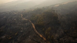 Το σχέδιο «ανάπτυξης» του Έβρου μετά τις πυρκαγιές και η επόμενη ημέρα για τους κατοίκους