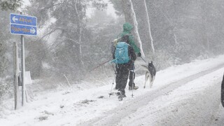 Έπεσαν τα πρώτα χιόνια στην Πάρνηθα: Πότε ανεβαίνει η θερμοκρασία