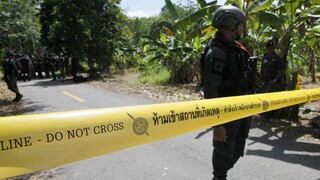 Ταϊλάνδη: 15 φερόμενοι ως διακινητές ναρκωτικών σκοτώθηκαν από τον στρατό